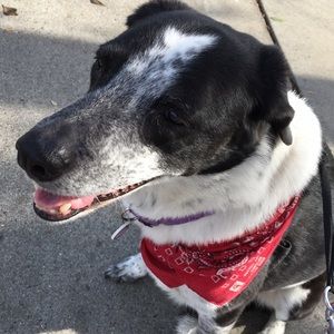 Meet your Posher, Gleeanne